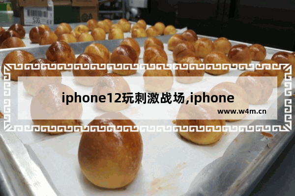 iphone12玩刺激战场,iphone11玩不了刺激战场