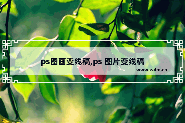 ps图画变线稿,ps 图片变线稿