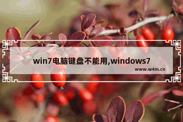 win7电脑键盘不能用,windows7电脑键盘不能用怎么办