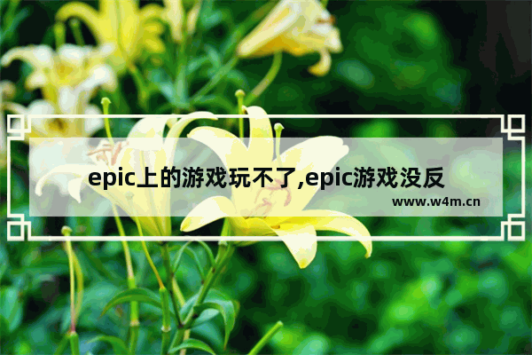 epic上的游戏玩不了,epic游戏没反应