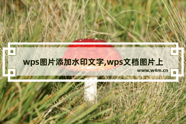 wps图片添加水印文字,wps文档图片上加水印怎么弄