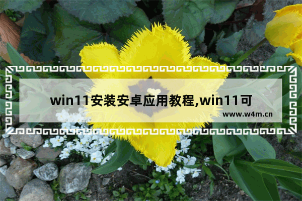 win11安装安卓应用教程,win11可以安装安卓应用