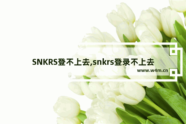 SNKRS登不上去,snkrs登录不上去怎么办