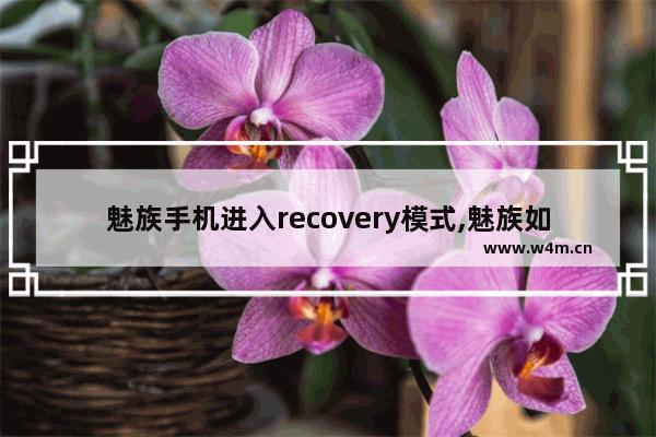 魅族手机进入recovery模式,魅族如何进入 Recovery 模式