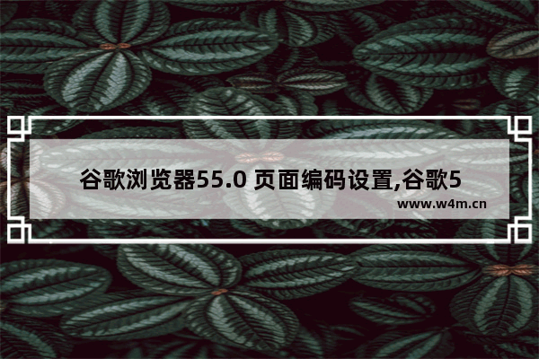 谷歌浏览器55.0 页面编码设置,谷歌55版本浏览器有哪些