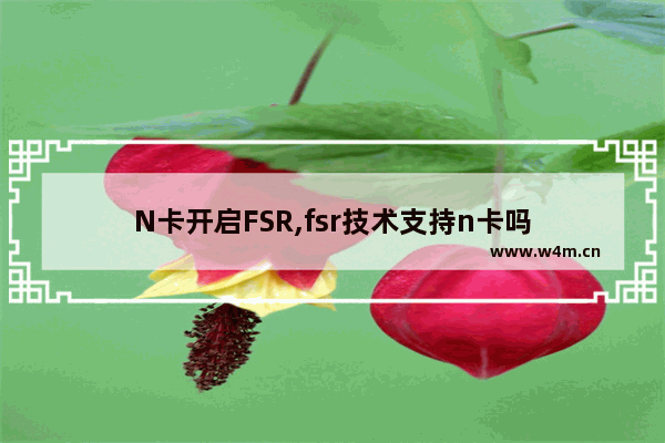 N卡开启FSR,fsr技术支持n卡吗