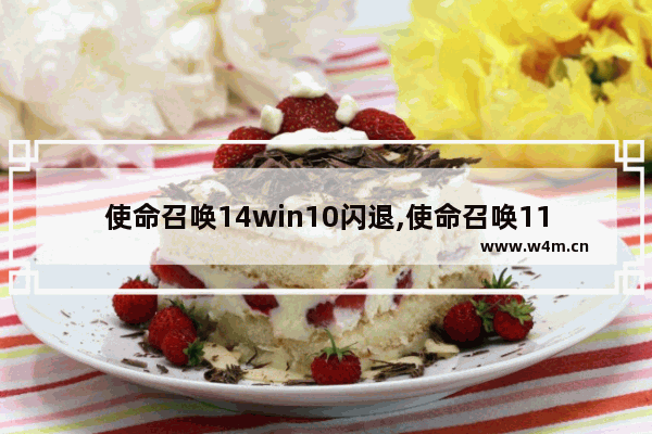 使命召唤14win10闪退,使命召唤11win10闪退