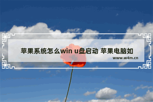 苹果系统怎么win u盘启动 苹果电脑如何用U盘启动Windows系统