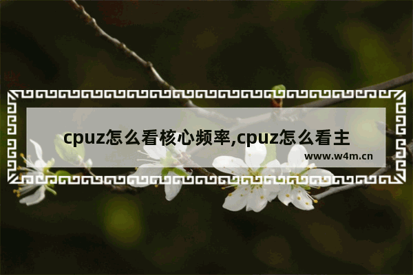 cpuz怎么看核心频率,cpuz怎么看主板支持多少频率的内存