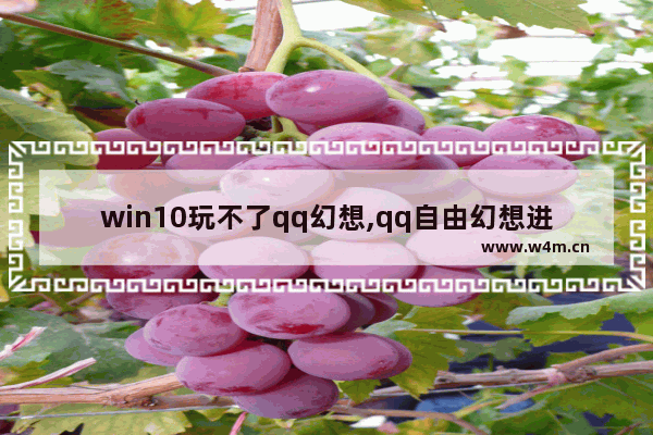 win10玩不了qq幻想,qq自由幻想进不去