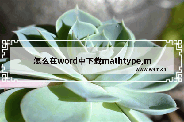 怎么在word中下载mathtype,mathtype安装后怎么在word中使用