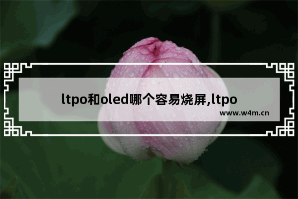 ltpo和oled哪个容易烧屏,ltpo屏幕有必要吗