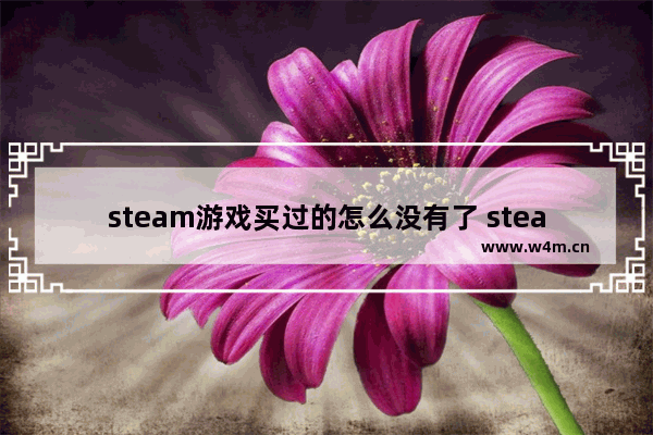 steam游戏买过的怎么没有了 steam游戏已购买却找不到了