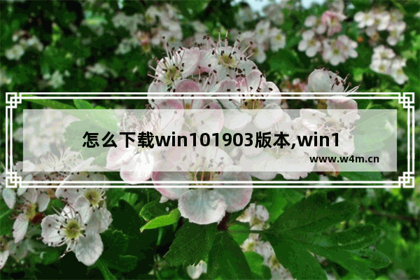 怎么下载win101903版本,win101909下载哪个版本