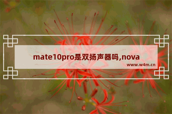 mate10pro是双扬声器吗,nova9pro是不是双扬声器