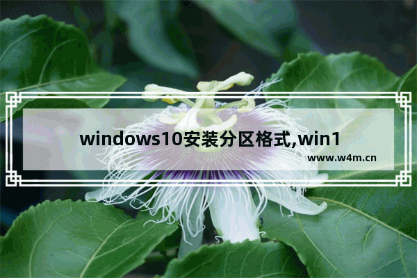 windows10安装分区格式,win10安装需要什么分区格式