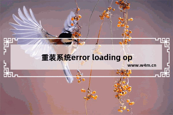 重装系统error loading operating system怎么办,u盘启动loading operating system