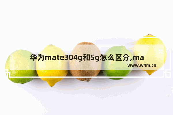 华为mate304g和5g怎么区分,mate30 4g5g区别