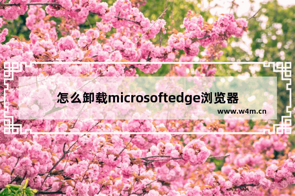 怎么卸载microsoftedge浏览器,win10edge浏览器怎么卸载