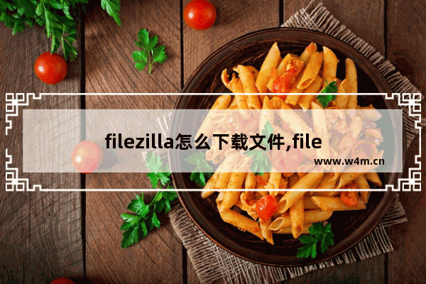 filezilla怎么下载文件,filezilla软件下载路径