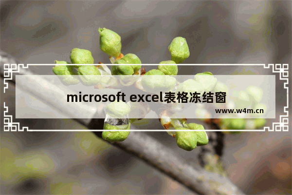 microsoft excel表格冻结窗口,office表格如何冻结窗口