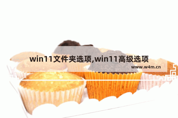 win11文件夹选项,win11高级选项