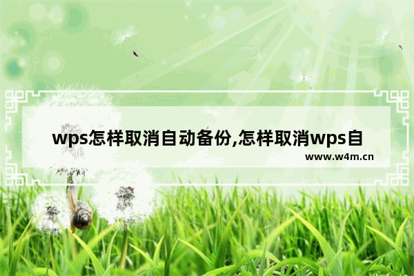 wps怎样取消自动备份,怎样取消wps自动备份