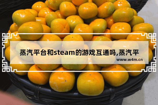 蒸汽平台和steam的游戏互通吗,蒸汽平台和steam