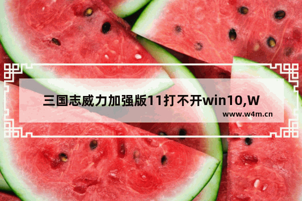 三国志威力加强版11打不开win10,Win10玩不了三国志11