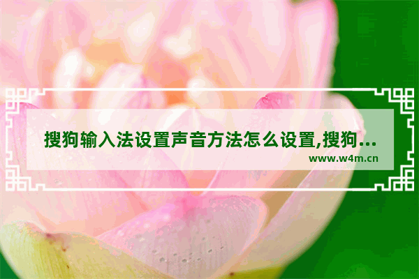 搜狗输入法设置声音方法怎么设置,搜狗输入法声音怎么设置方法