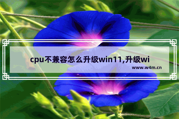 cpu不兼容怎么升级win11,升级windows11cpu不支持