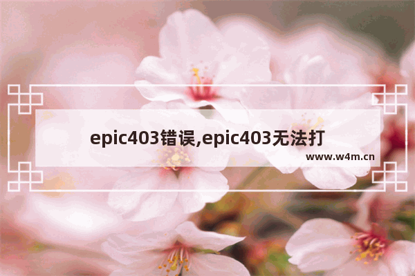 epic403错误,epic403无法打开