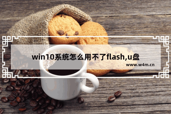 win10系统怎么用不了flash,u盘重装系统win10