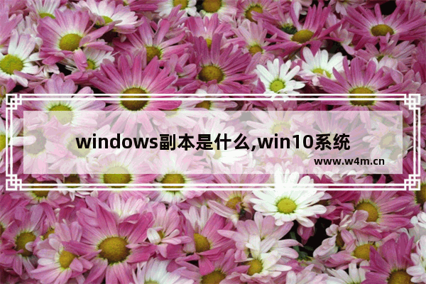 windows副本是什么,win10系统副本与正本区别