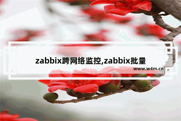 zabbix跨网络监控,zabbix批量添加ping对象