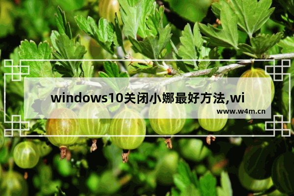 windows10关闭小娜最好方法,win10开启小娜