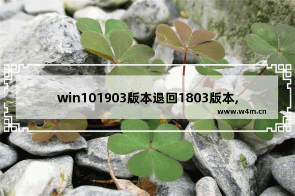 win101903版本退回1803版本,win101809怎么升级到1903