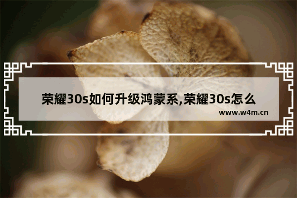 荣耀30s如何升级鸿蒙系,荣耀30s怎么升级鸿蒙系统2.0