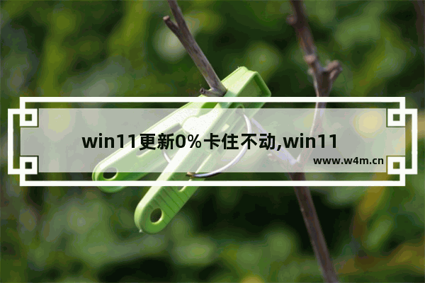 win11更新0%卡住不动,win11 更新卡住