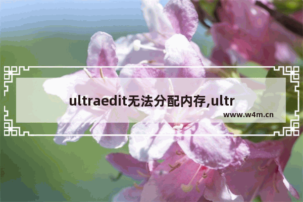 ultraedit无法分配内存,ultraedit配置