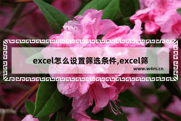 excel怎么设置筛选条件,excel筛选或条件怎么设置