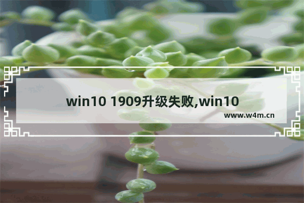 win10 1909升级失败,win101809升级1909失败