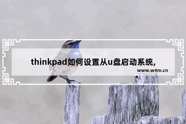 thinkpad如何设置从u盘启动系统,联想thinkpad怎样设置u盘启动