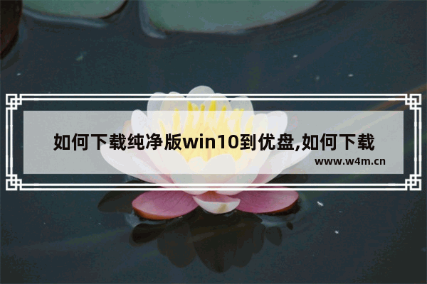 如何下载纯净版win10到优盘,如何下载纯净版win7