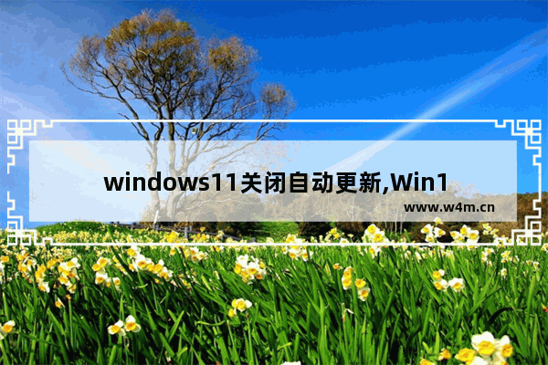 windows11关闭自动更新,Win11有必要更新吗