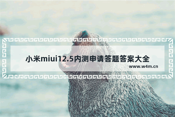 小米miui12.5内测申请答题答案大全,小米MIUI12内测答题