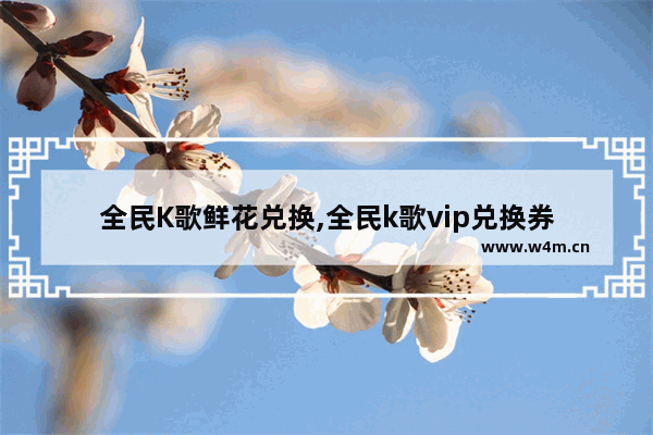 全民K歌鲜花兑换,全民k歌vip兑换券