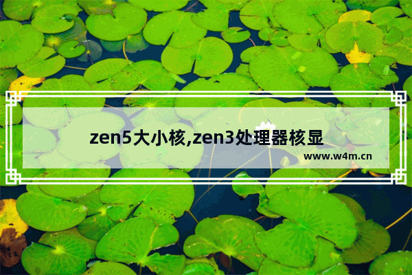 zen5大小核,zen3处理器核显