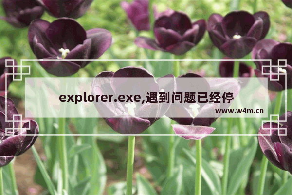 explorer.exe,遇到问题已经停止工作,