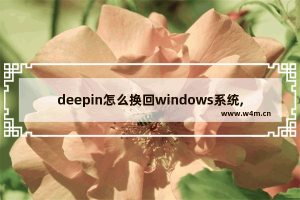 deepin怎么换回windows系统,deepin系统改为windows系统